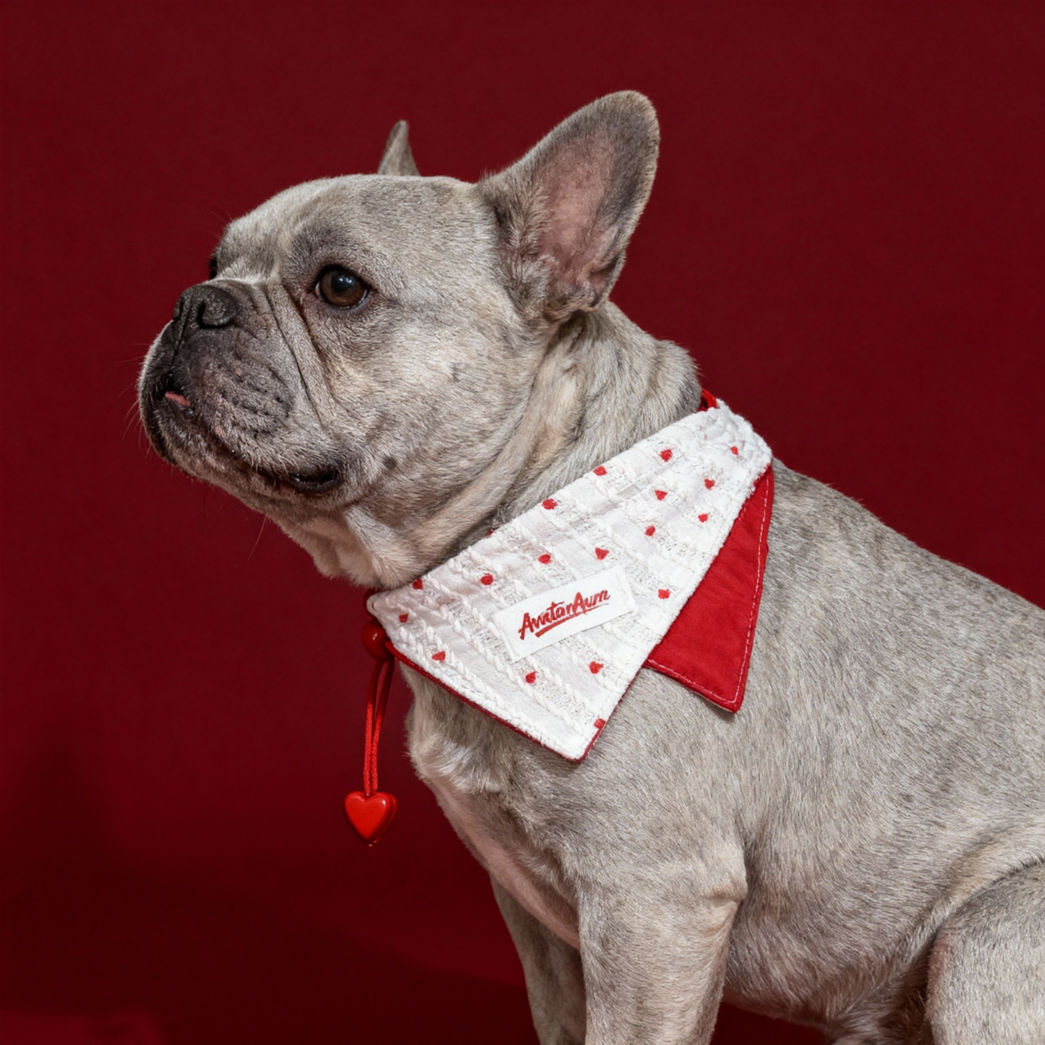 PET TIES & NECK ACCESSORIES