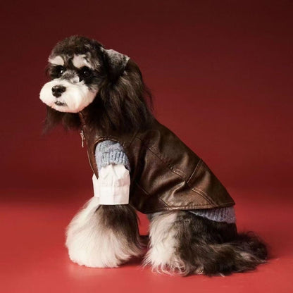 Designer Faux-Leather Dog Jacket — Luxury Small Dog Streetwear