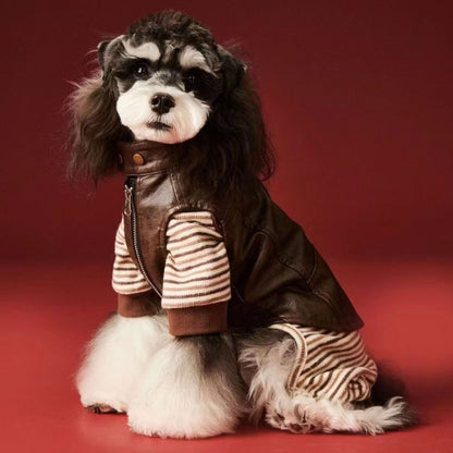 Designer Faux-Leather Dog Jacket — Luxury Small Dog Streetwear
