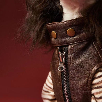 Designer Faux-Leather Dog Jacket — Luxury Small Dog Streetwear