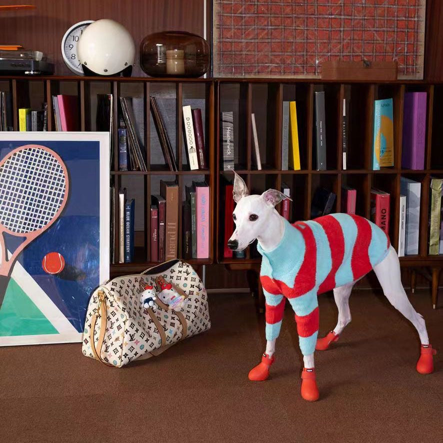 Designer Sky Blue & Tangerine Striped Plush Sweater