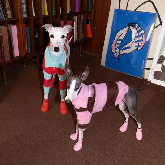 Designer Sky Blue & Tangerine Striped Plush Sweater