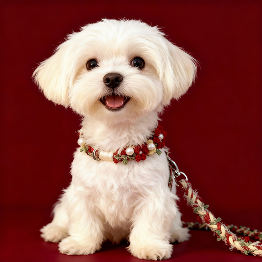 LUXURY DIY FLORAL PEARL PET COLLAR & LEASH SET