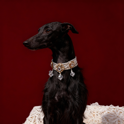 LUXURY VINTAGE LACE  COLLAR