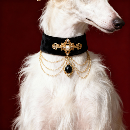 BLACK VELVET  COLLAR