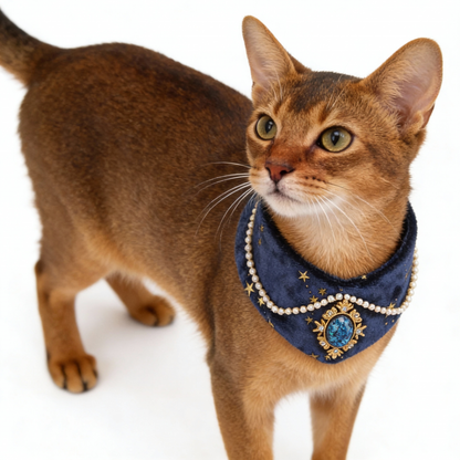 Velvet Blue Ocean Collar