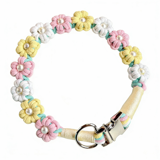 【Cantaloupe】 DIY COLLAR SET