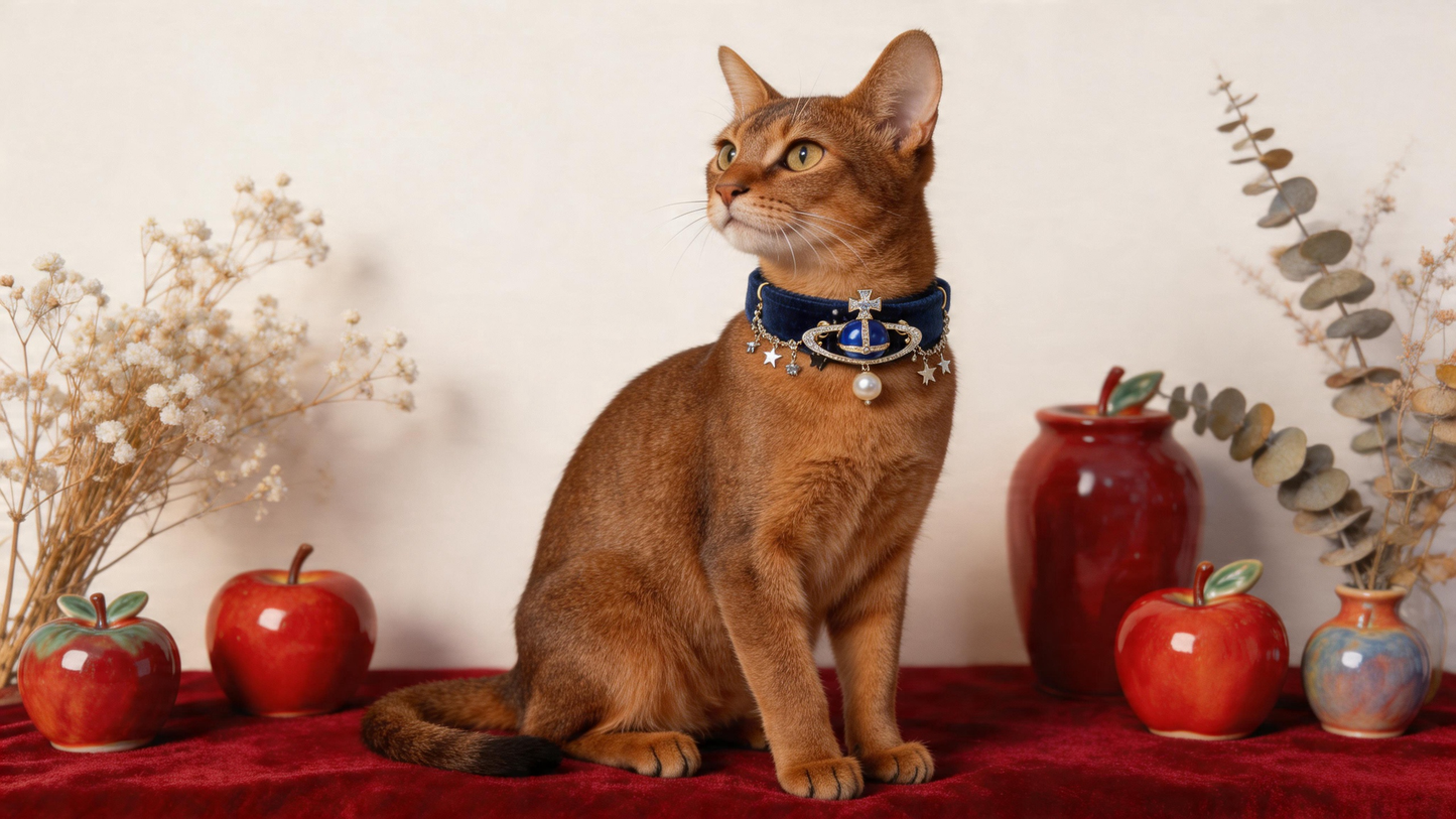 Celestial Crown Velvet Pet Collar