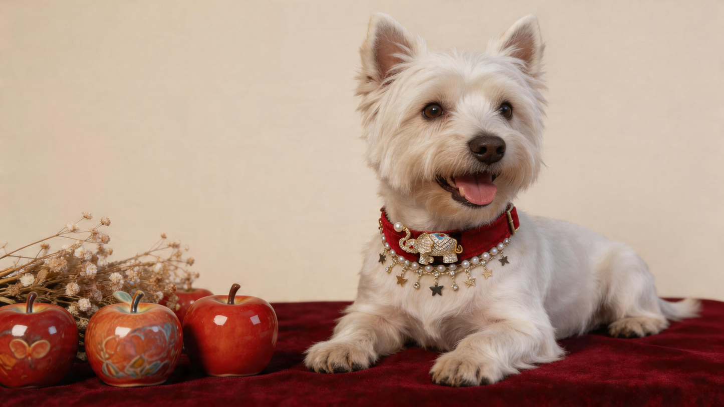 Lucky Elephant Velvet Pet Collar-red