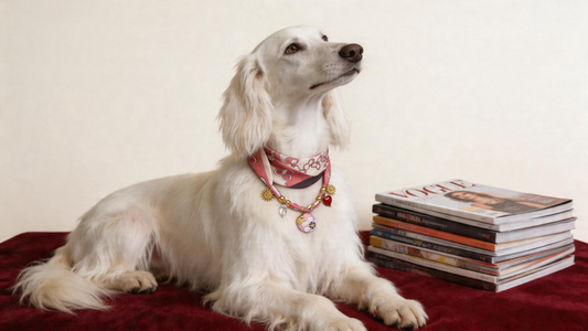 Lumière Jardin-Pet Scarf Necklace
