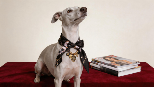 Noir Étoile Pet Scarf Necklace